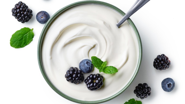 How to Make Greek Yogurt at Home